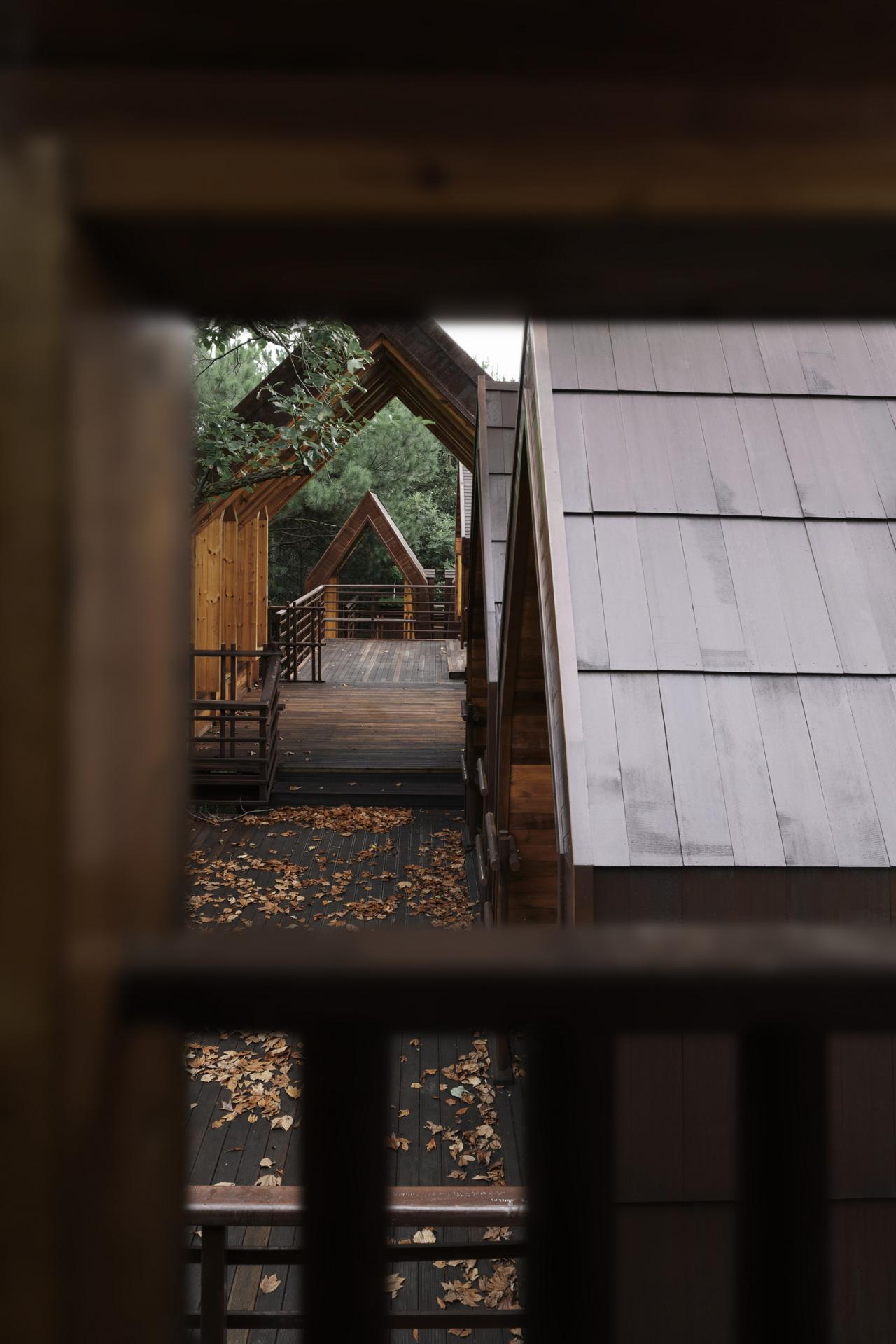 BIM建筑|木屋小镇:岛屿 · 丛林 · 小木屋,九江 / 平介设计 BIM建筑|木屋小镇:岛屿 · 丛林 · 小木屋,九江 / 平介设计