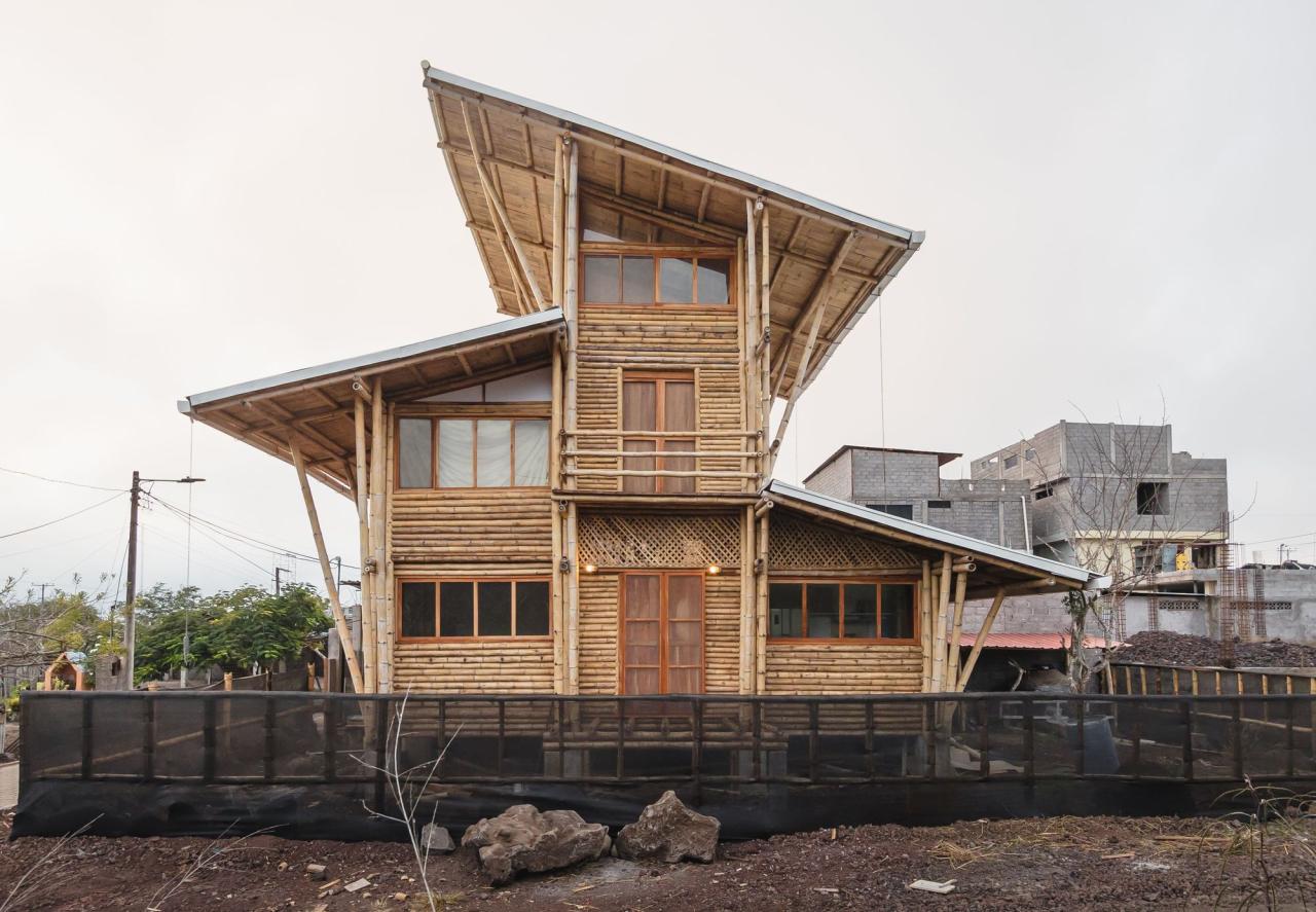 BIM建筑|地域性住宅 / ESEcolectivo BIM建筑|地域性住宅 / ESEcolectivo