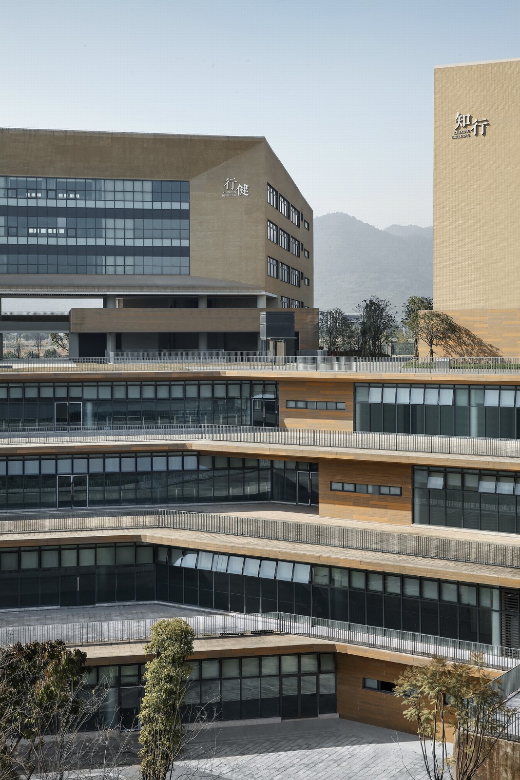 BIM建筑|西南大学附属中学两江校区:消失的高密度校园 / gad BIM建筑|西南大学附属中学两江校区:消失的高密度校园 / gad