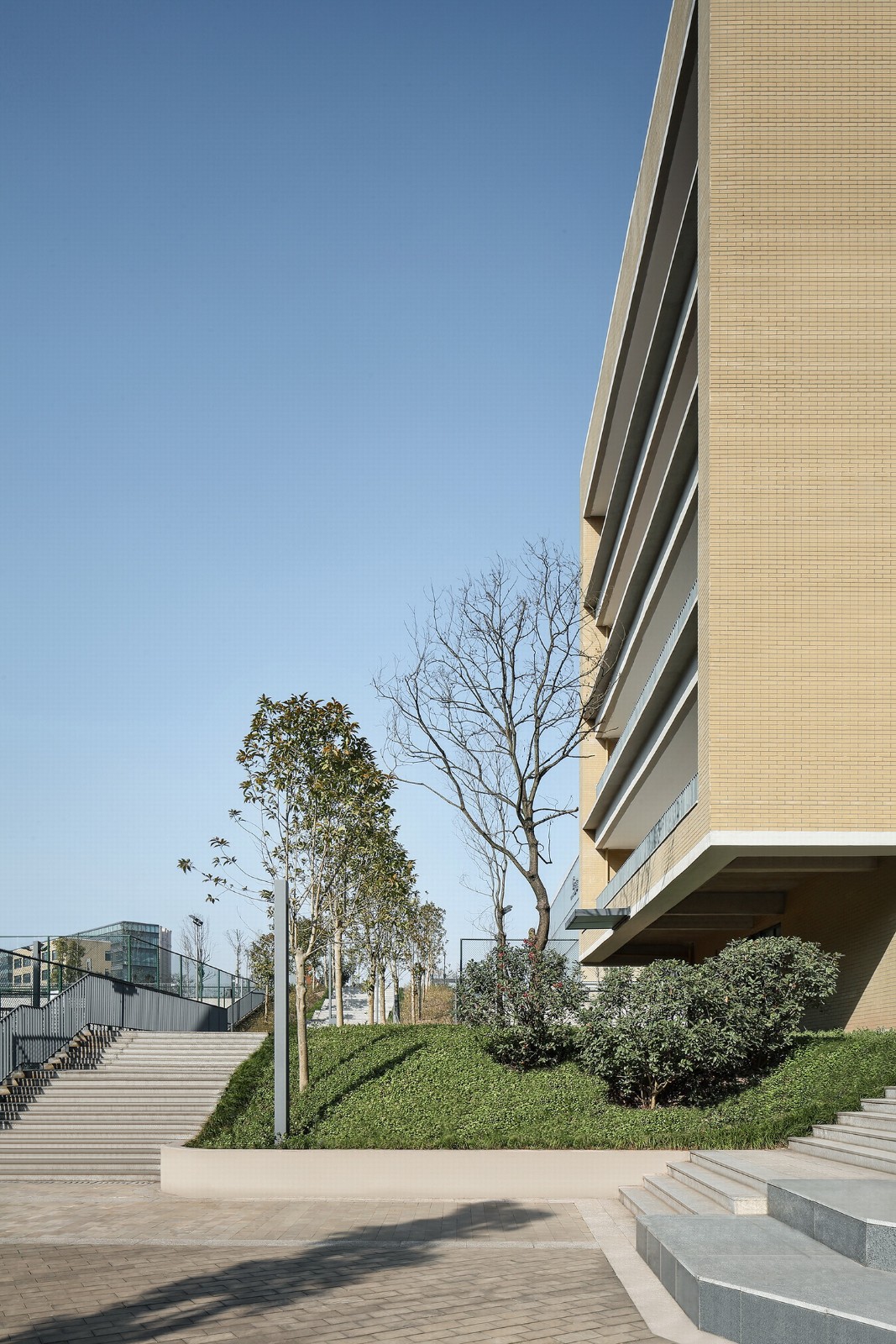 BIM建筑|西南大学附属中学两江校区:消失的高密度校园 / gad BIM建筑|西南大学附属中学两江校区:消失的高密度校园 / gad