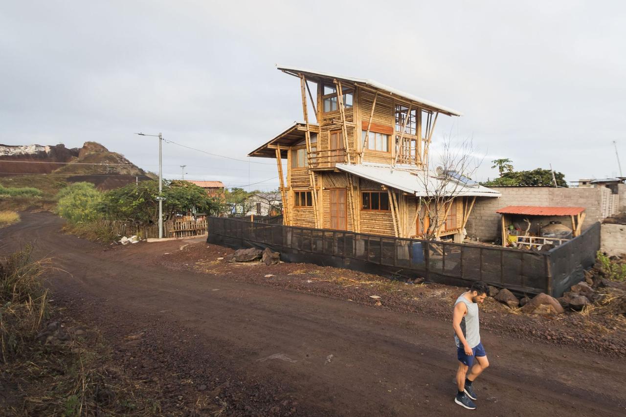 BIM建筑|地域性住宅 / ESEcolectivo BIM建筑|地域性住宅 / ESEcolectivo