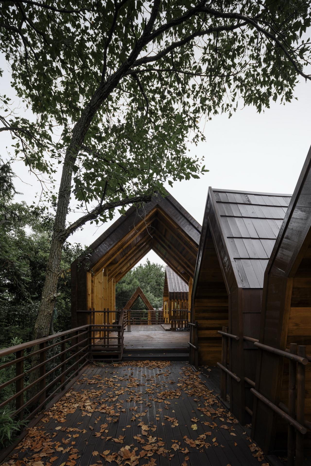 BIM建筑|木屋小镇:岛屿 · 丛林 · 小木屋,九江 / 平介设计 BIM建筑|木屋小镇:岛屿 · 丛林 · 小木屋,九江 / 平介设计