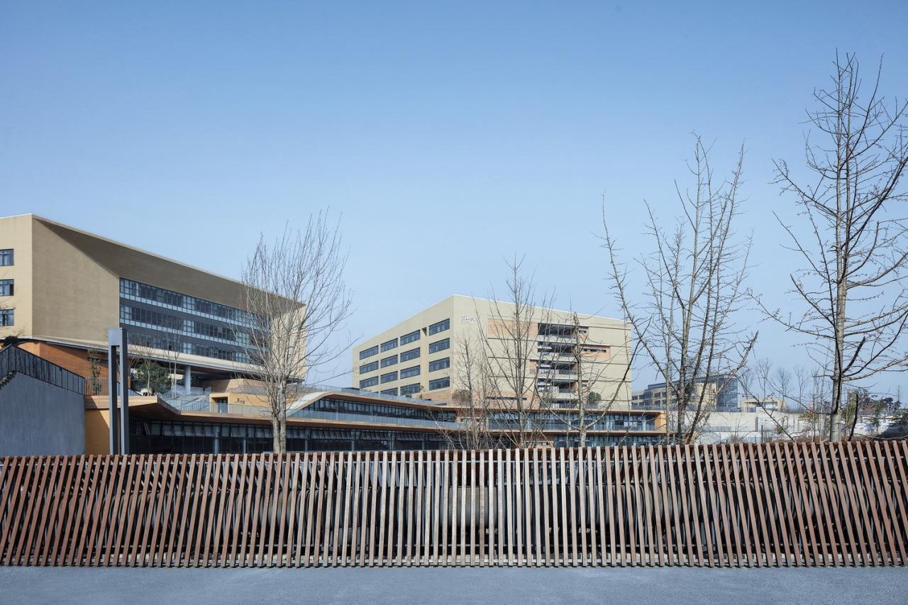 BIM建筑|西南大学附属中学两江校区:消失的高密度校园 / gad BIM建筑|西南大学附属中学两江校区:消失的高密度校园 / gad