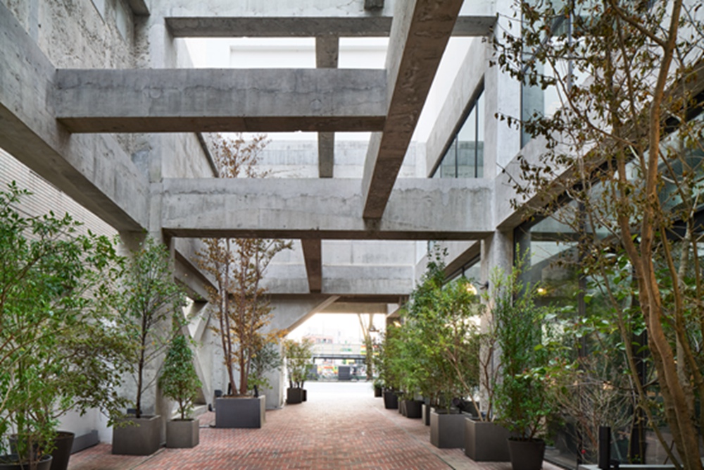BIM建筑|藤本壮介为Shiroiya酒店增加巨大的中庭和青山 BIM建筑|藤本壮介为Shiroiya酒店增加巨大的中庭和青山