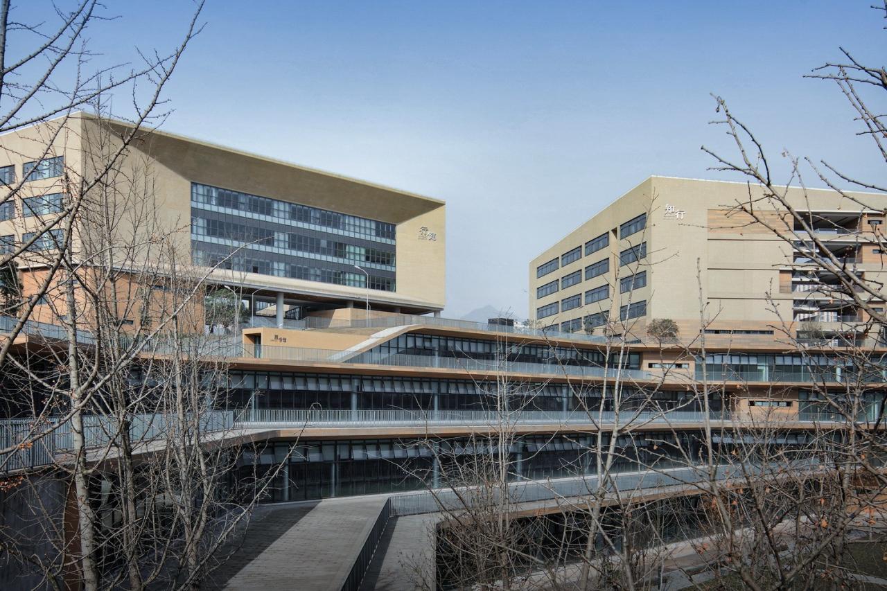BIM建筑|西南大学附属中学两江校区:消失的高密度校园 / gad BIM建筑|西南大学附属中学两江校区:消失的高密度校园 / gad