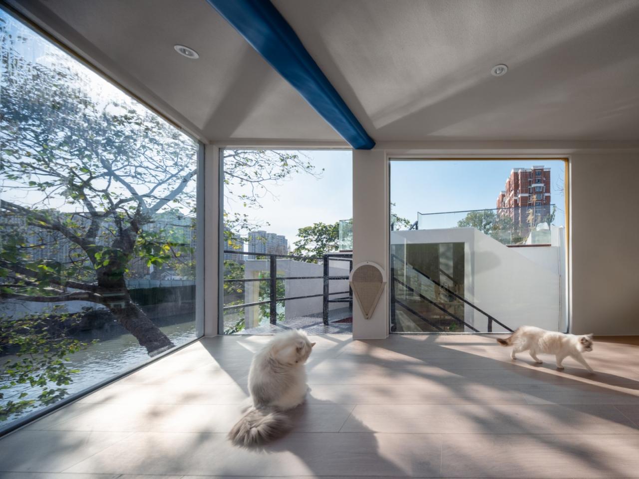 BIM建筑|上海云间粮仓 “人民河畔悬浮的太空盒”LILITH莉莉斯小屋 / DCDSAA淀川建筑事务所 BIM建筑|上海云间粮仓 “人民河畔悬浮的太空盒”LILITH莉莉斯小屋 / DCDSAA淀川建筑事务所