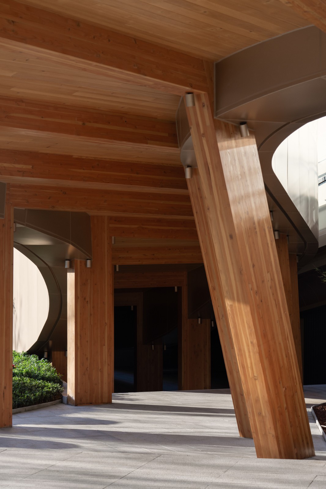 BIM建筑|木构建造设计一体化 l 宜宾白兰美学馆:建筑如何在地生长? BIM建筑|木构建造设计一体化 l 宜宾白兰美学馆:建筑如何在地生长?
