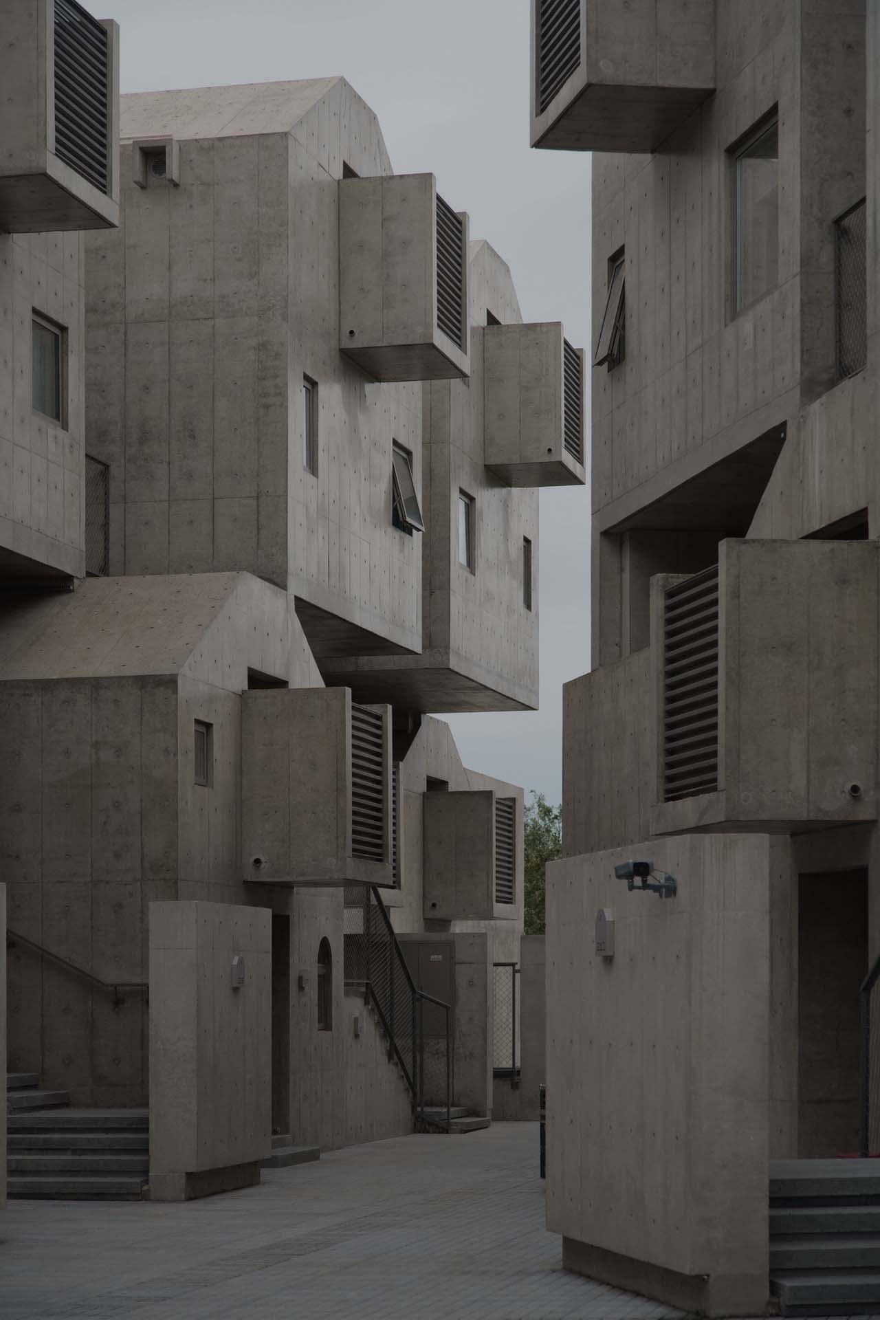 BIM建筑|宠物酒店:犬舍 / 高目建筑 BIM建筑|宠物酒店:犬舍 / 高目建筑