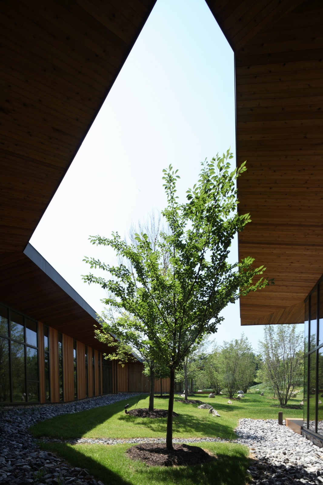 BIM建筑|树建筑:JST 哈里斯堡生产工程中心 / 芦泽龙一事务所 & Arcari + Iovino Architects BIM建筑|树建筑:JST 哈里斯堡生产工程中心 / 芦泽龙一事务所 & Arcari + Iovino Architects