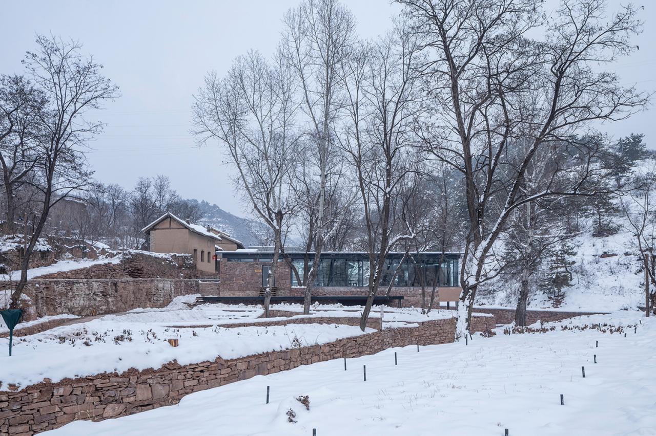 BIM建筑|与树和老土墙共生——军械库咖啡 / 三文建筑 BIM建筑|与树和老土墙共生——军械库咖啡 / 三文建筑