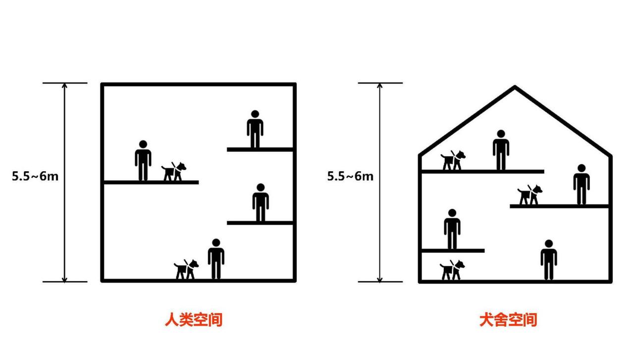 BIM建筑|宠物酒店:犬舍 / 高目建筑 BIM建筑|宠物酒店:犬舍 / 高目建筑