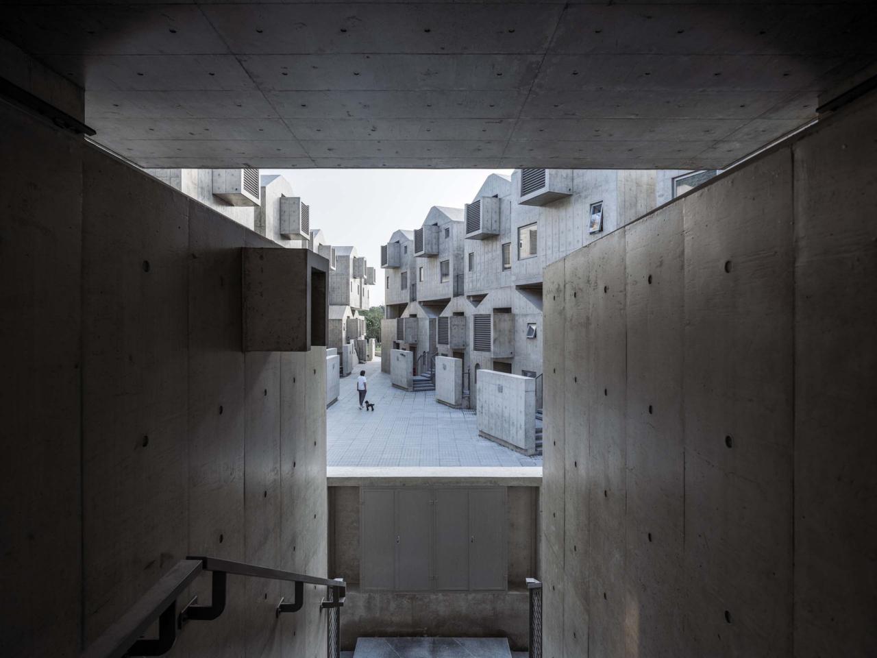 BIM建筑|宠物酒店:犬舍 / 高目建筑 BIM建筑|宠物酒店:犬舍 / 高目建筑