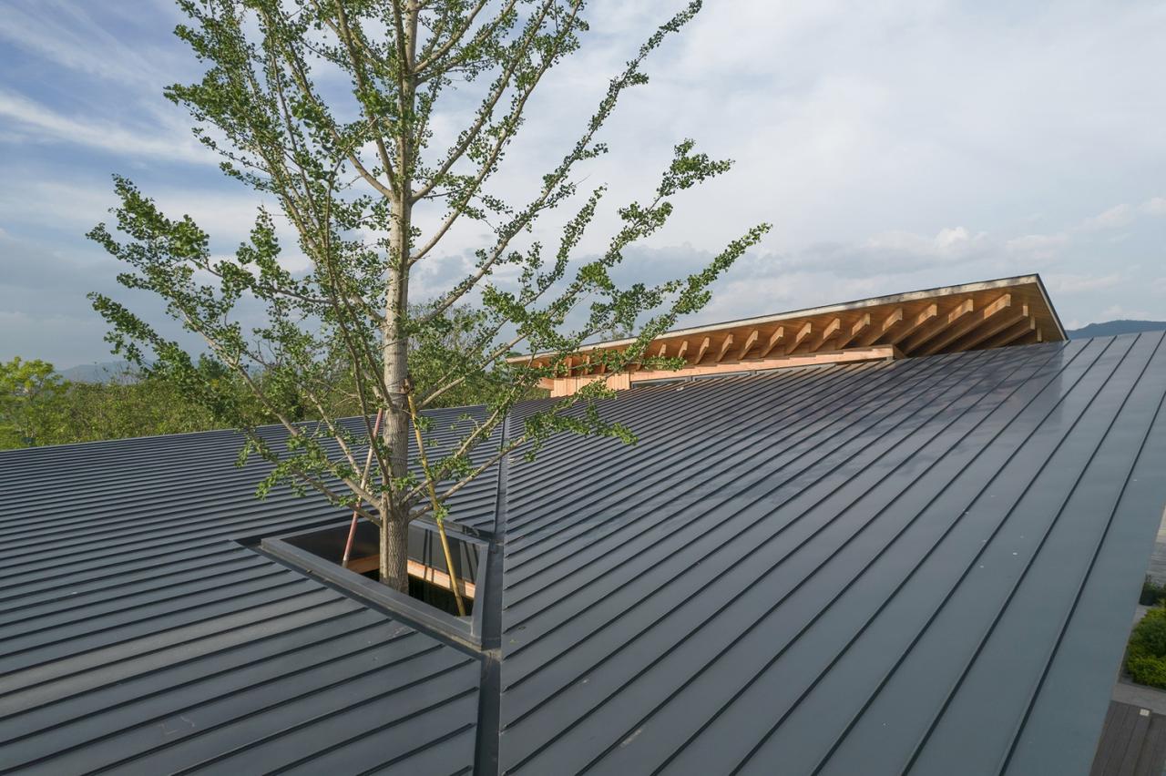 BIM建筑|富阳·阳陂湖湿地接待中心 / 尌林建筑设计事务所 BIM建筑|富阳·阳陂湖湿地接待中心 / 尌林建筑设计事务所