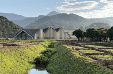 BIM建筑|陶然墟乡村集市 / 昊源集团设计中心-BIM建筑网