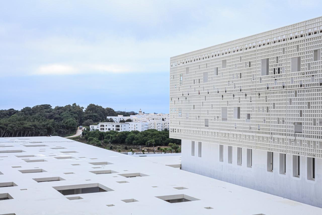 BIM建筑|丹吉尔市大学医院 / Hajji & Elouali + Architecturestudio BIM建筑|丹吉尔市大学医院 / Hajji & Elouali + Architecturestudio