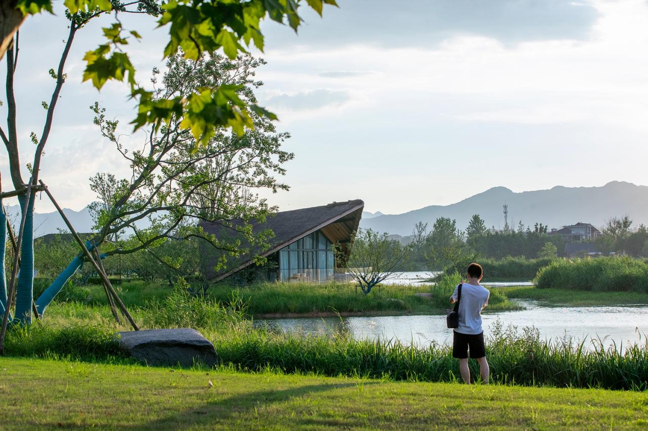BIM建筑|富阳阳陂湖湿地生态酒店 / 尌林建筑 BIM建筑|富阳阳陂湖湿地生态酒店 / 尌林建筑