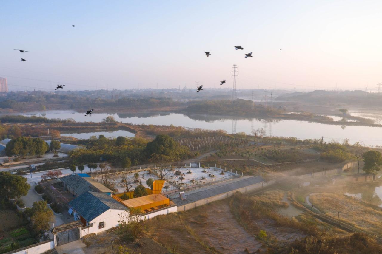 BIM建筑|流浪小动物保护基地 / UAO瑞拓设计 BIM建筑|流浪小动物保护基地 / UAO瑞拓设计