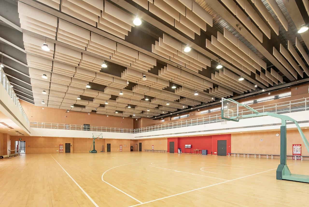 BIM建筑|深圳光明新区凤凰学校 / 深圳大学建筑设计研究院“钟中+钟波涛”工作室 BIM建筑|深圳光明新区凤凰学校 / 深圳大学建筑设计研究院“钟中+钟波涛”工作室