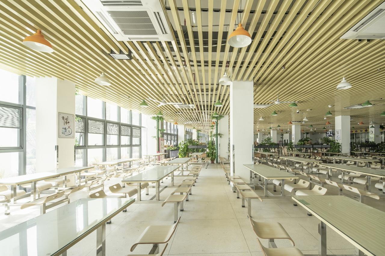 BIM建筑|深圳光明新区凤凰学校 / 深圳大学建筑设计研究院“钟中+钟波涛”工作室 BIM建筑|深圳光明新区凤凰学校 / 深圳大学建筑设计研究院“钟中+钟波涛”工作室