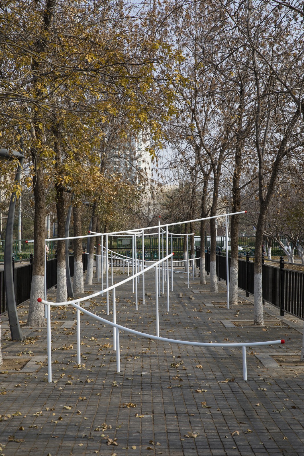 BIM建筑|北京奥林匹克森林公园跑者服务站 / TEMP建筑设计工作室 BIM建筑|北京奥林匹克森林公园跑者服务站 / TEMP建筑设计工作室