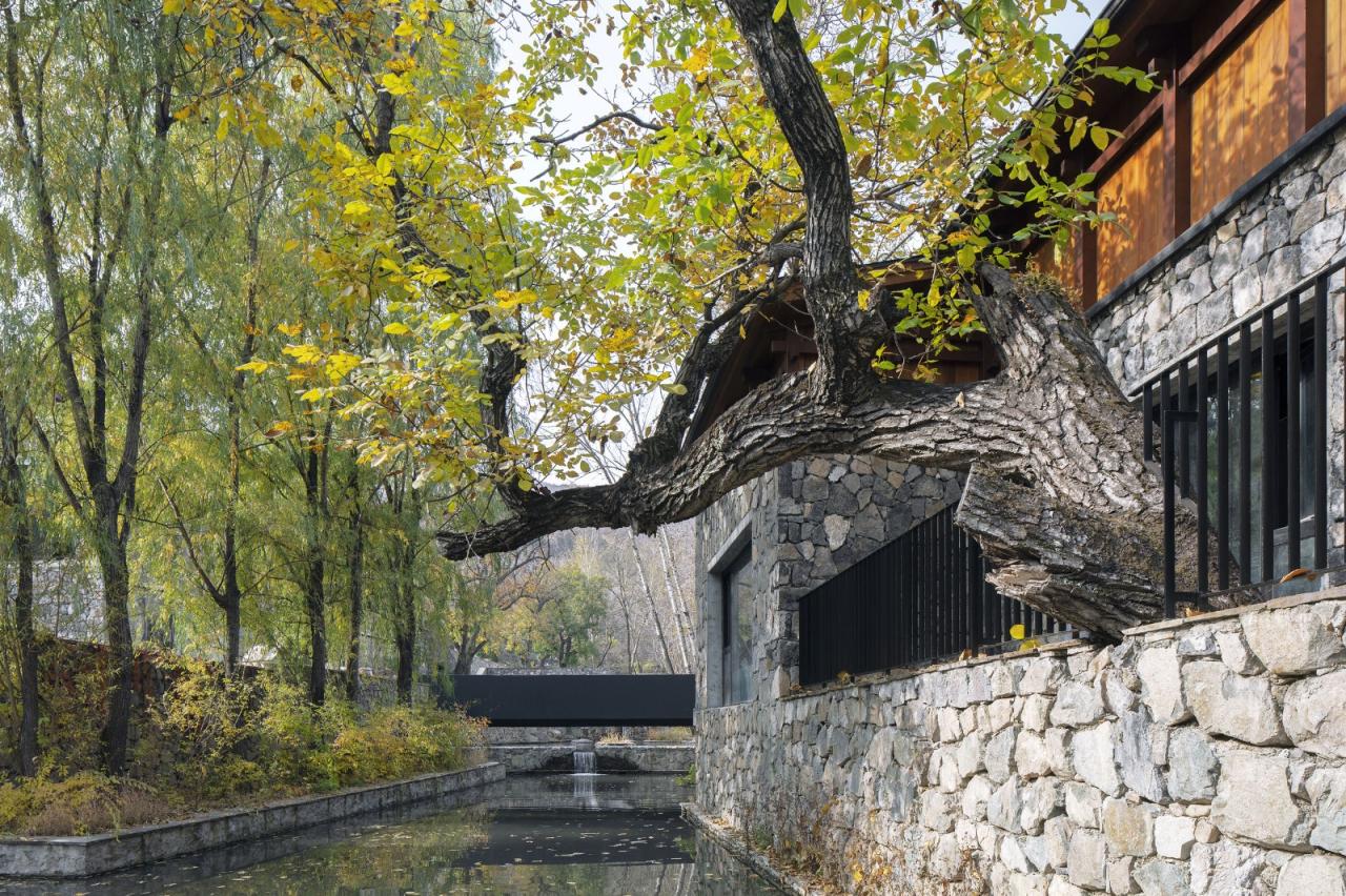 BIM建筑|隐北野奢酒店 / Penda China BIM建筑|隐北野奢酒店 / Penda China