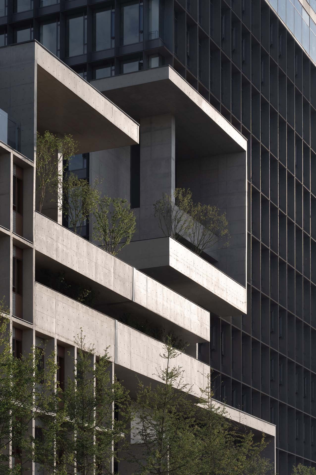 BIM建筑|成都麓湖漂浮总部办公楼 / 直向建筑 BIM建筑|成都麓湖漂浮总部办公楼 / 直向建筑