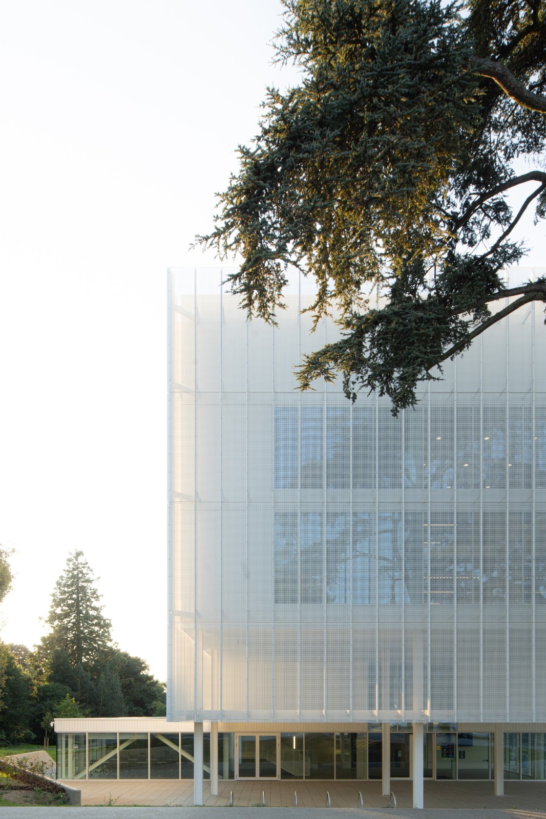 BIM建筑|诺维奇城市学院数字技术工厂 / Coffey Architects BIM建筑|诺维奇城市学院数字技术工厂 / Coffey Architects