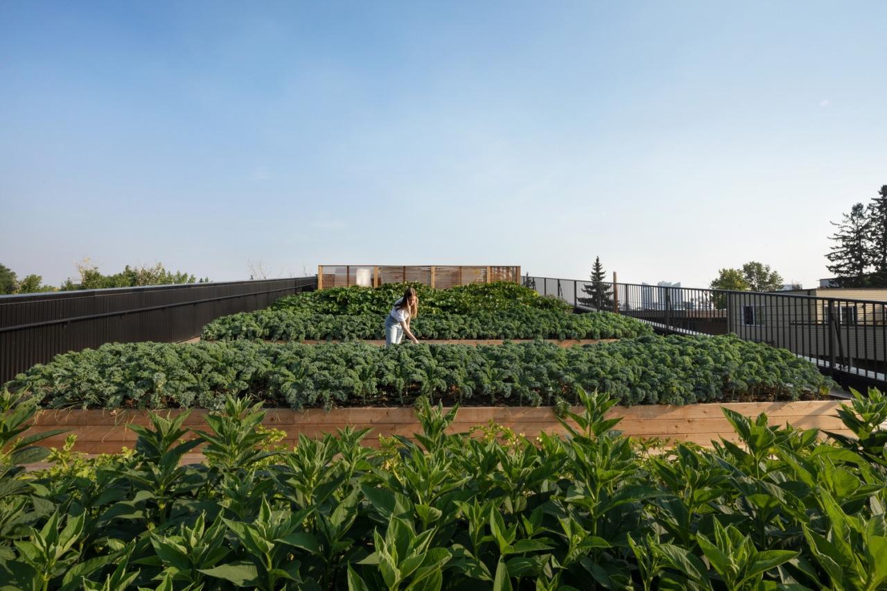 BIM建筑|GROW 住宅区 / 现代设计与建筑工作室 BIM建筑|GROW 住宅区 / 现代设计与建筑工作室