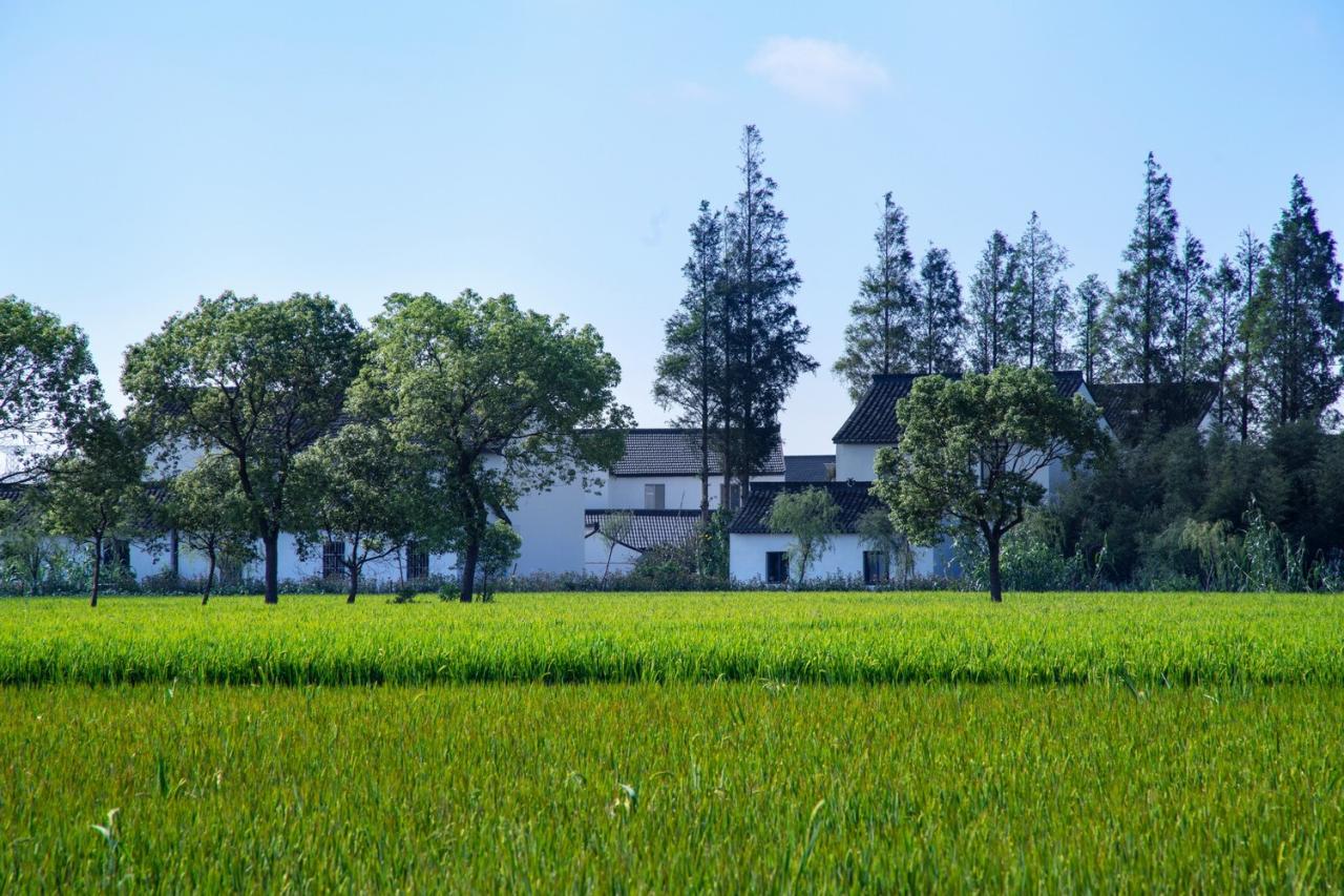 BIM建筑|低成本整村改造实践:上海奉贤李窑村乡村振兴 / 水石设计 BIM建筑|低成本整村改造实践:上海奉贤李窑村乡村振兴 / 水石设计