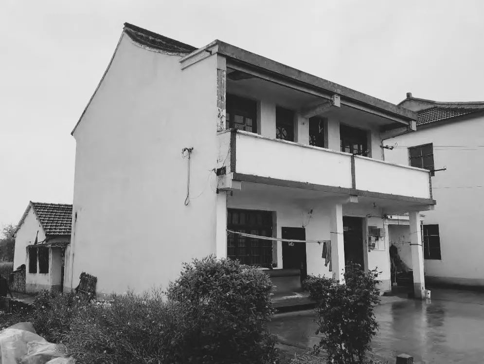BIM建筑|低成本整村改造实践:上海奉贤李窑村乡村振兴 / 水石设计 BIM建筑|低成本整村改造实践:上海奉贤李窑村乡村振兴 / 水石设计