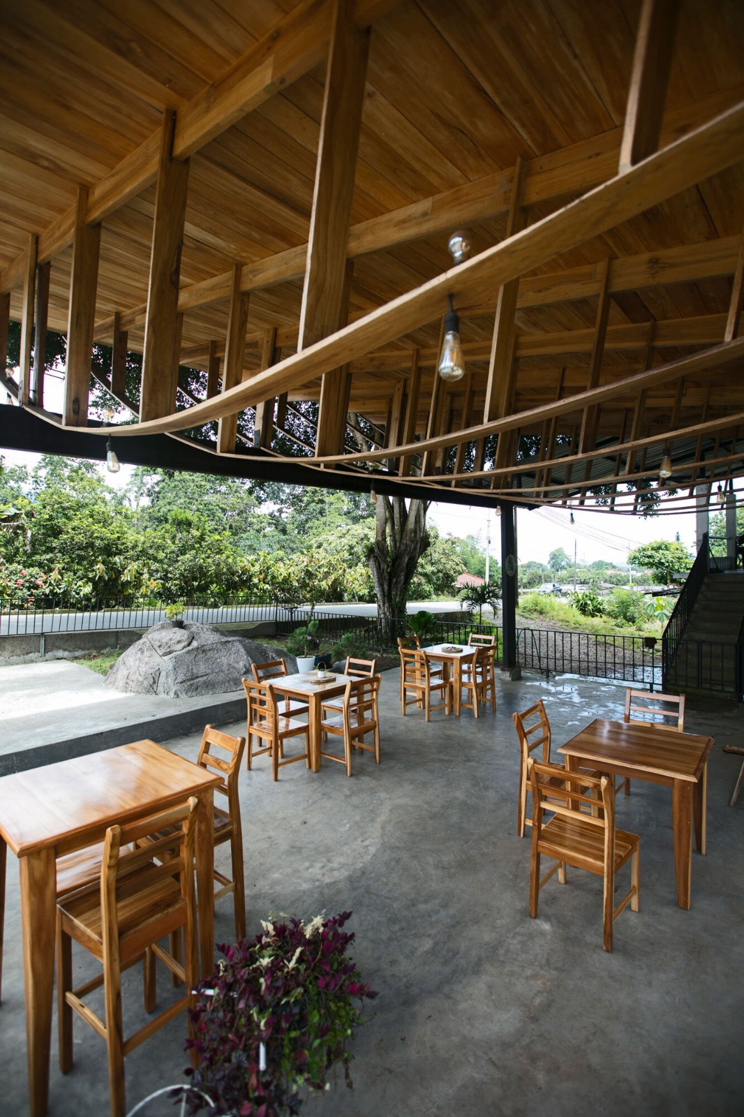 BIM建筑|村口榕树下,社区公共空间 Ficus Alto / Natura Futura Arquitectura BIM建筑|村口榕树下,社区公共空间 Ficus Alto / Natura Futura Arquitectura