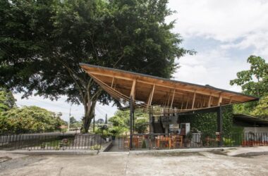 BIM建筑|村口榕树下,社区公共空间 Ficus Alto / Natura Futura Arquitectura-BIM建筑网