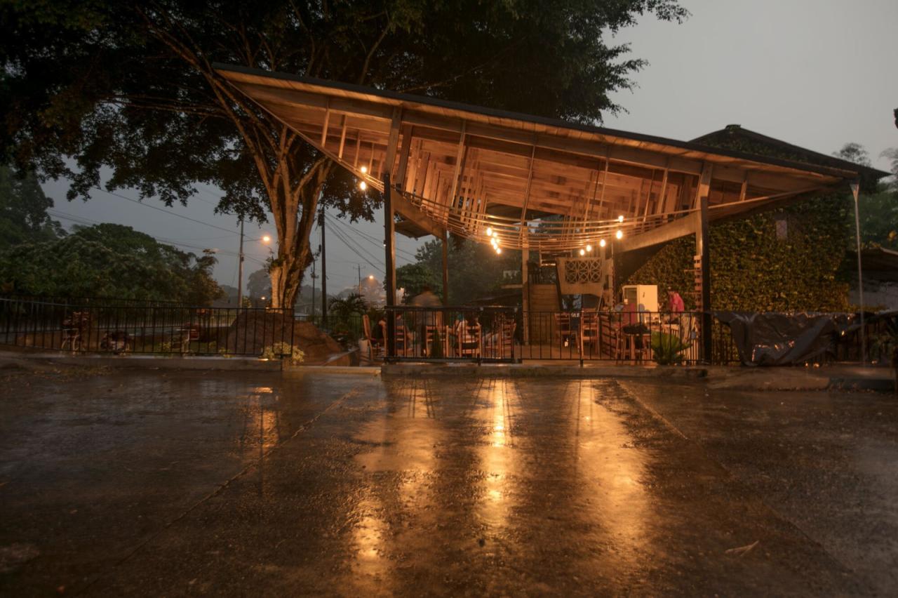 BIM建筑|村口榕树下,社区公共空间 Ficus Alto / Natura Futura Arquitectura BIM建筑|村口榕树下,社区公共空间 Ficus Alto / Natura Futura Arquitectura