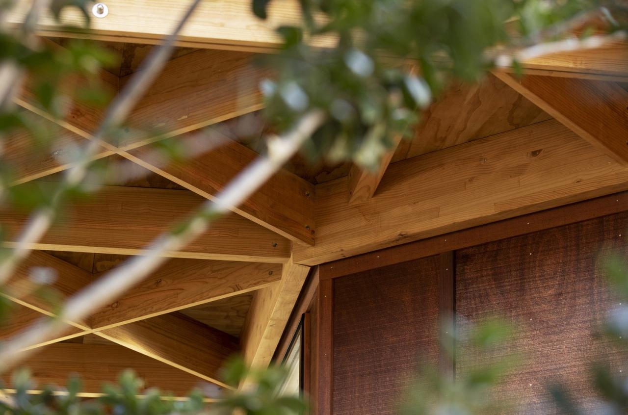 BIM建筑|新西兰儿童中心 New Shoots / Collingridge and Smith Architects BIM建筑|新西兰儿童中心 New Shoots / Collingridge and Smith Architects