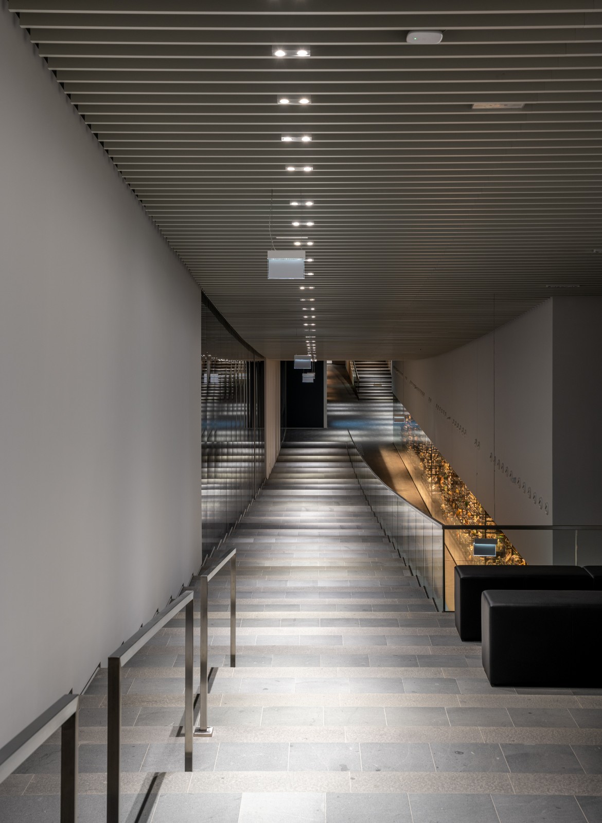 BIM建筑|布达佩斯民族学博物馆 / NAPUR Architect BIM建筑|布达佩斯民族学博物馆 / NAPUR Architect