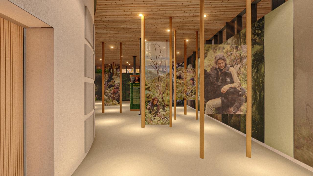 BIM建筑|福西大猩猩基金艾伦·德杰尼勒斯园区 / MASS Design Group BIM建筑|福西大猩猩基金艾伦·德杰尼勒斯园区 / MASS Design Group
