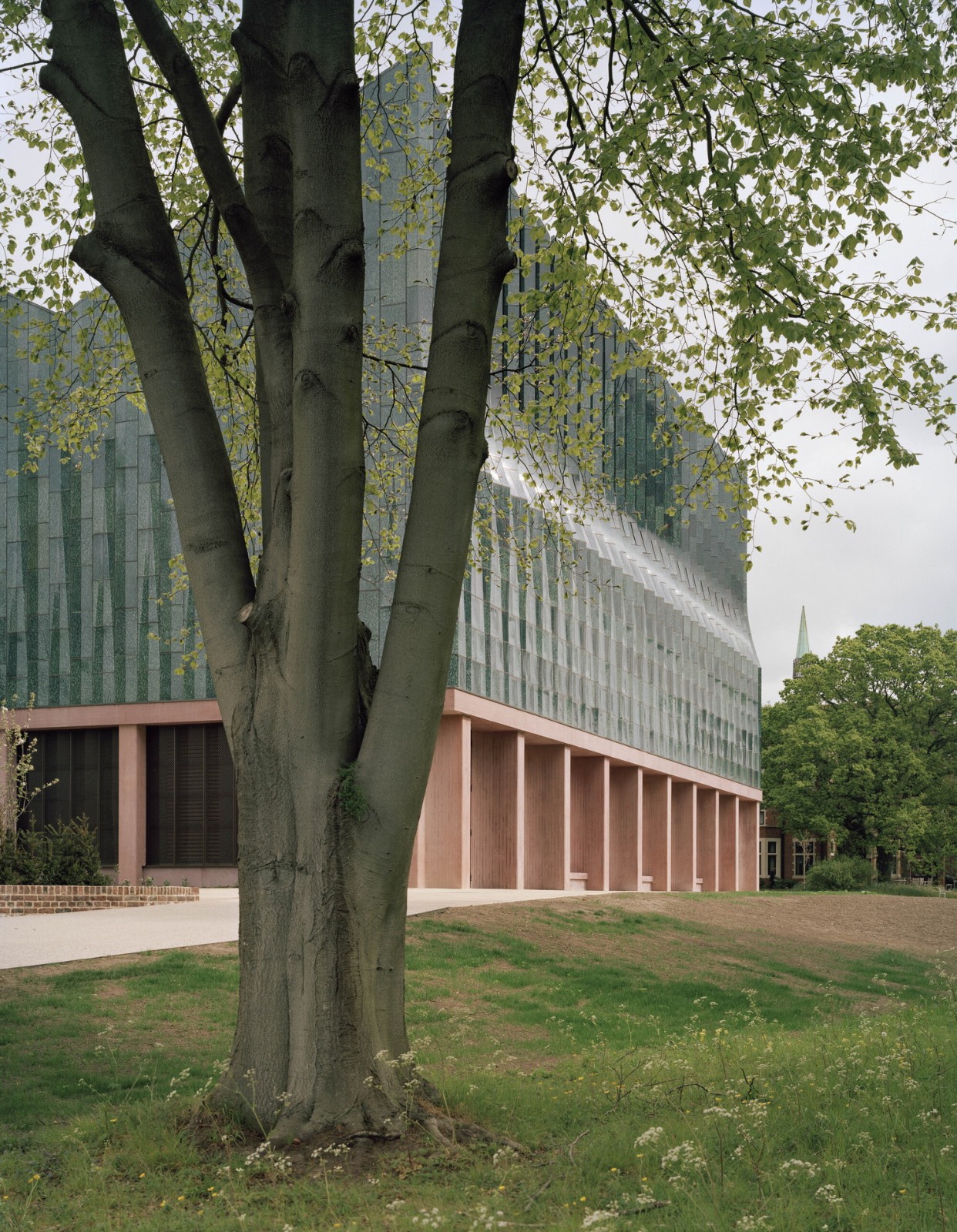 BIM建筑|复古绿釉,剑桥大学食堂 / Feilden Fowles BIM建筑|复古绿釉,剑桥大学食堂 / Feilden Fowles