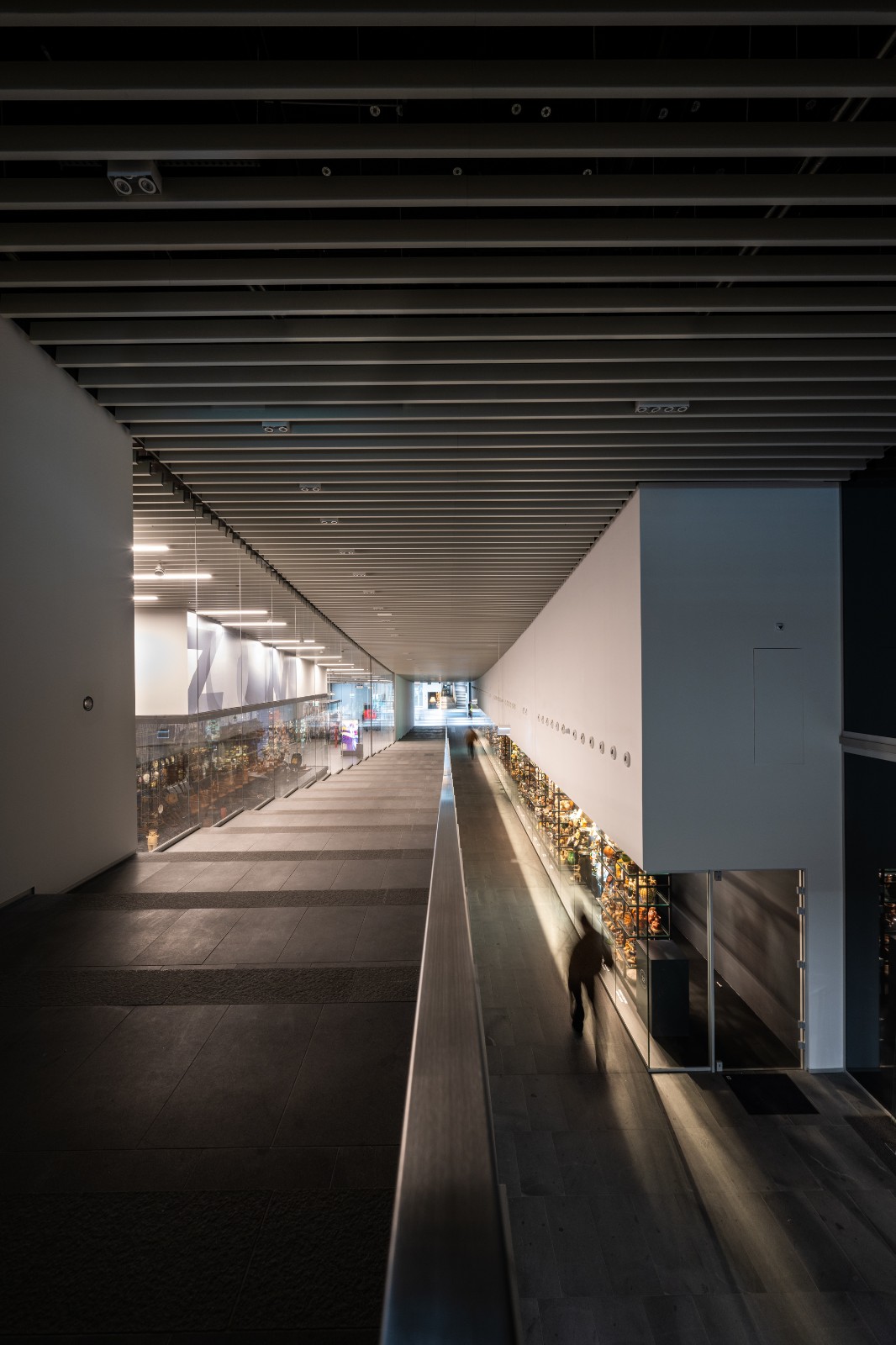 BIM建筑|布达佩斯民族学博物馆 / NAPUR Architect BIM建筑|布达佩斯民族学博物馆 / NAPUR Architect