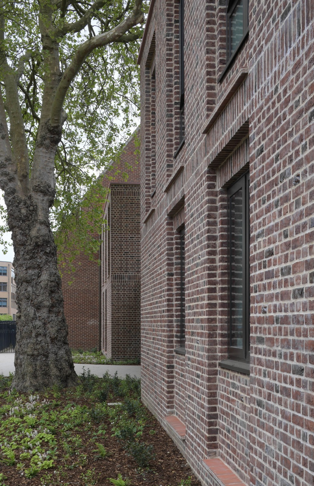 BIM建筑|复古绿釉,剑桥大学食堂 / Feilden Fowles BIM建筑|复古绿釉,剑桥大学食堂 / Feilden Fowles