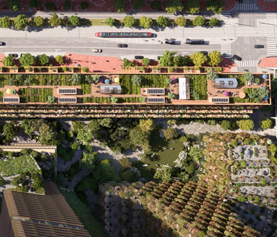 BIM建筑|阿贾耶为多伦多设计大型木质建筑 BIM建筑|阿贾耶为多伦多设计大型木质建筑