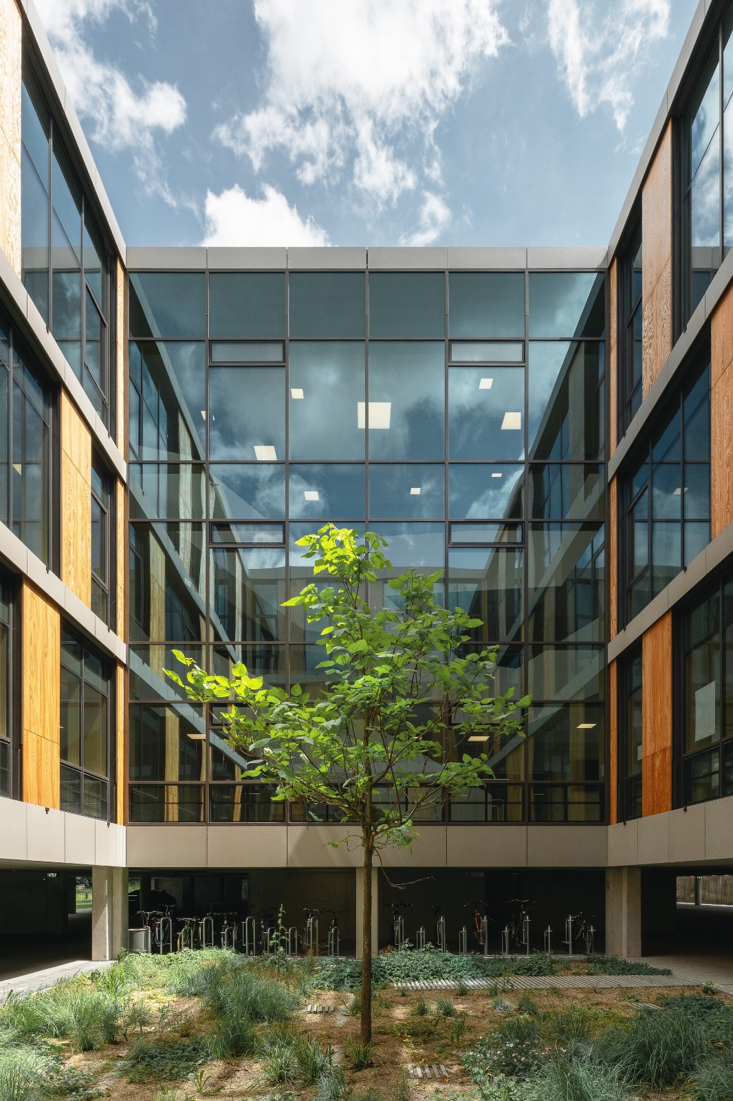 BIM建筑|慕尼黑工业大学可持续化学楼 / Schuster Pechtold Schmidt Architekten BIM建筑|慕尼黑工业大学可持续化学楼 / Schuster Pechtold Schmidt Architekten