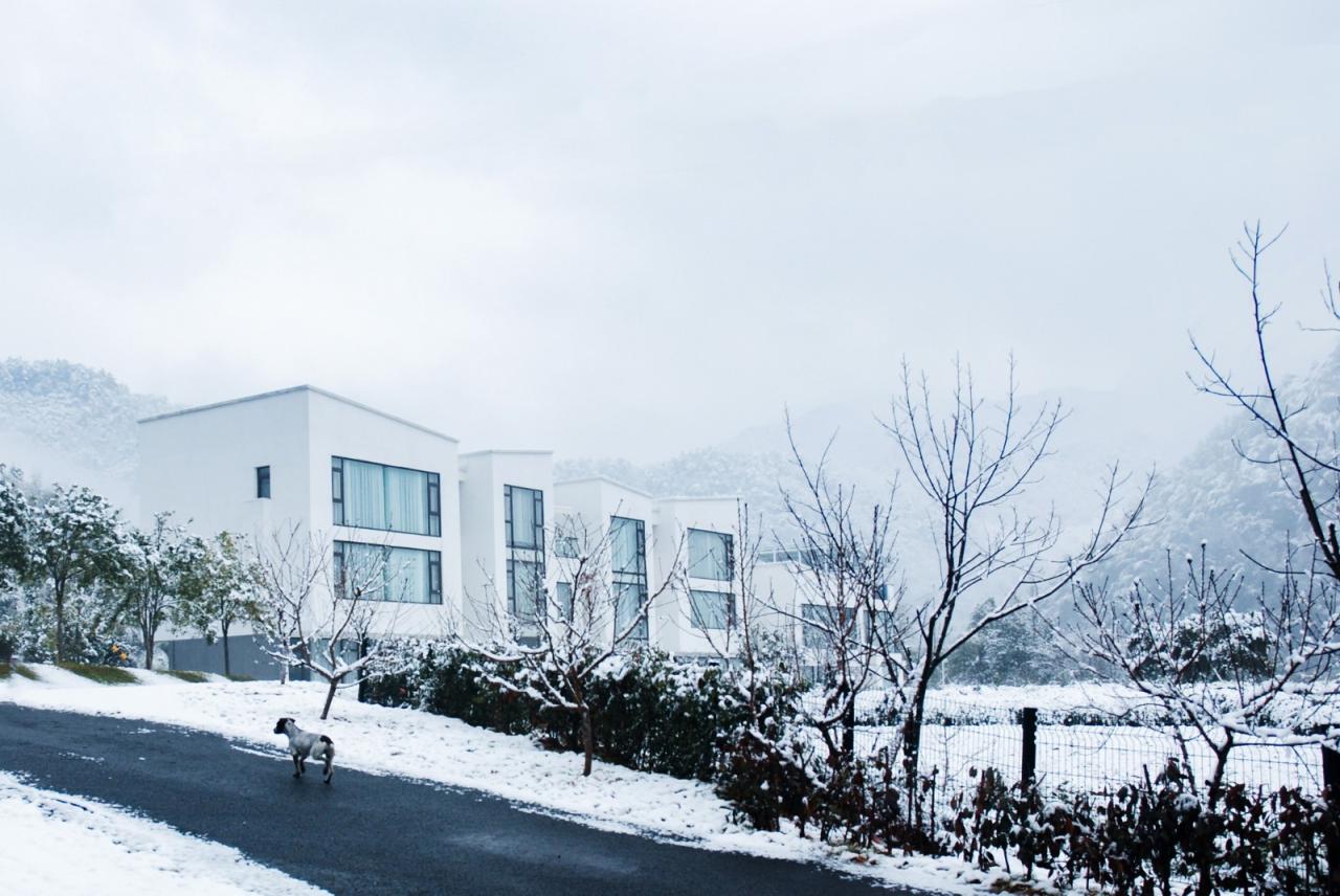 BIM建筑|岐院:山川 · 素屋 · 窗,千岛湖 / 平介设计 BIM建筑|岐院:山川 · 素屋 · 窗,千岛湖 / 平介设计