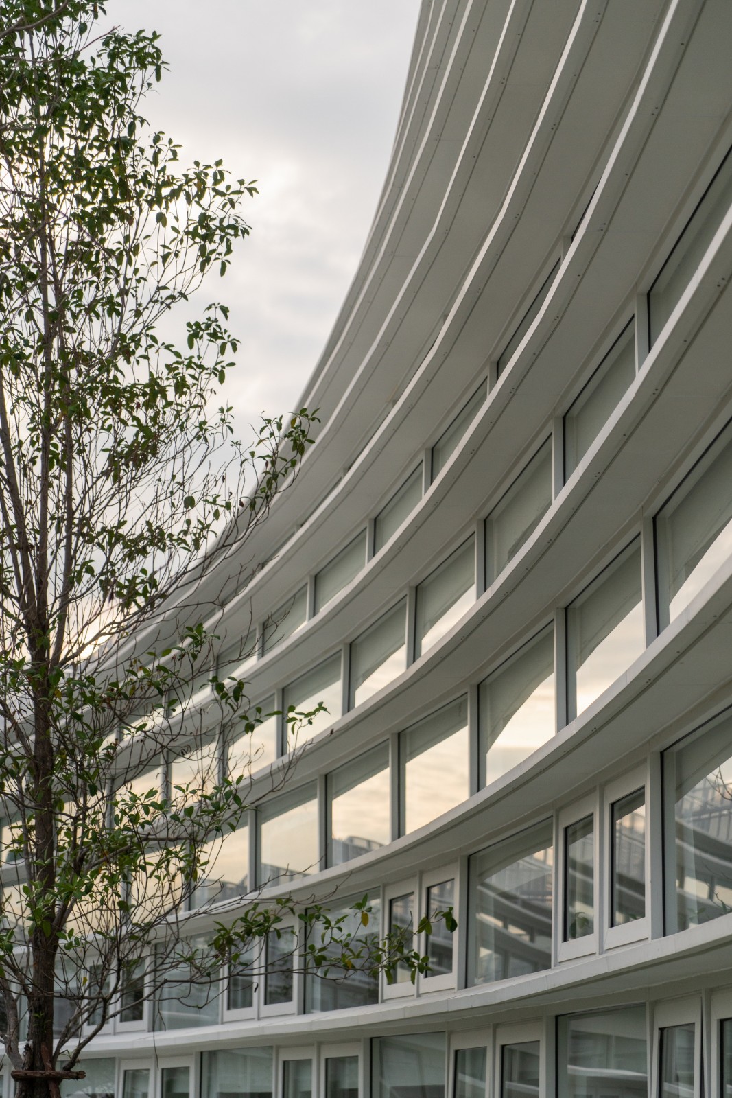 BIM建筑|扇形展开,泰国吞武里校园 SISB / Plan Architect BIM建筑|扇形展开,泰国吞武里校园 SISB / Plan Architect