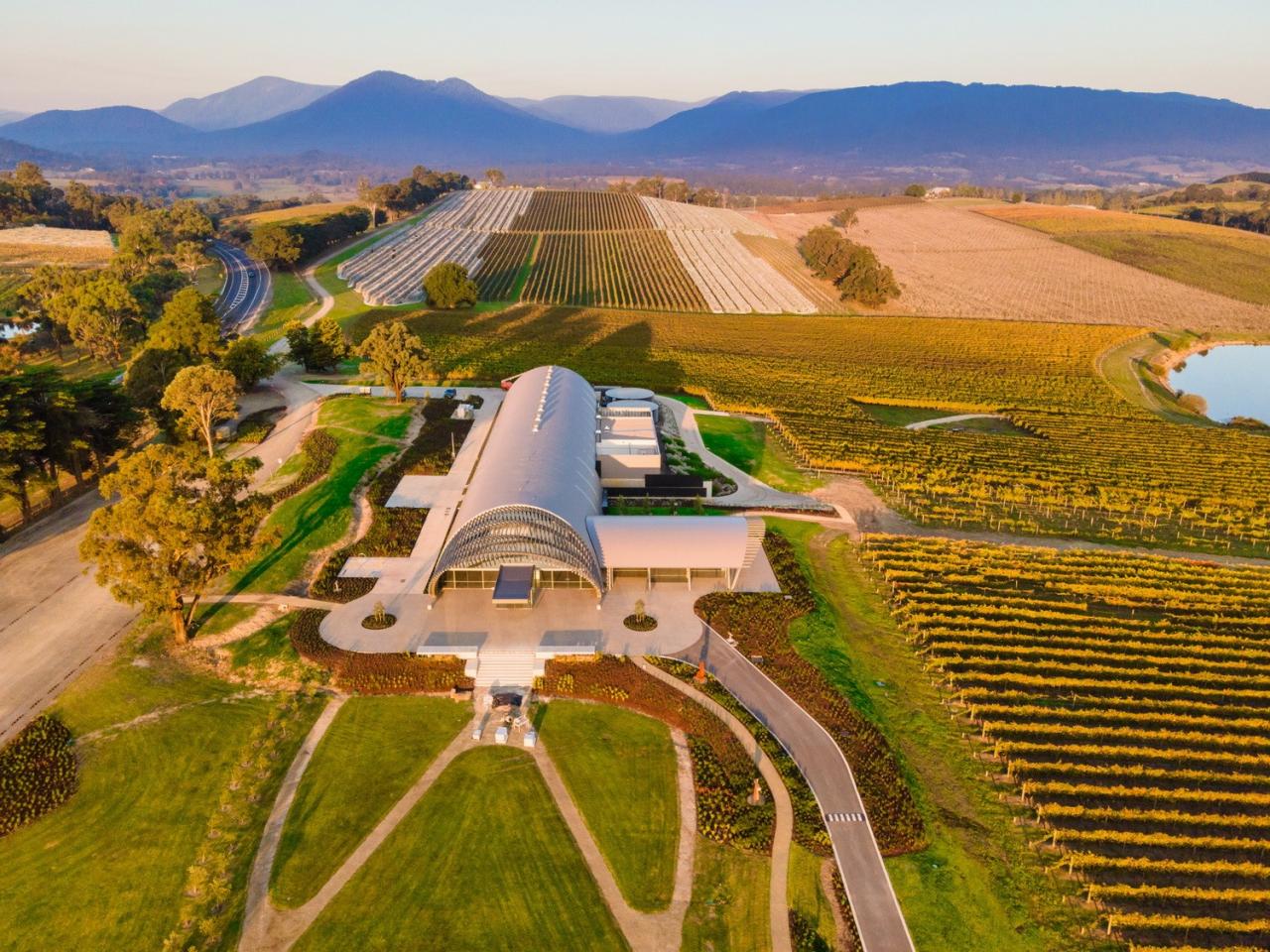 BIM建筑|Levantine Hill Estate酒庄 / Fender Katsalidis Architects BIM建筑|Levantine Hill Estate酒庄 / Fender Katsalidis Architects