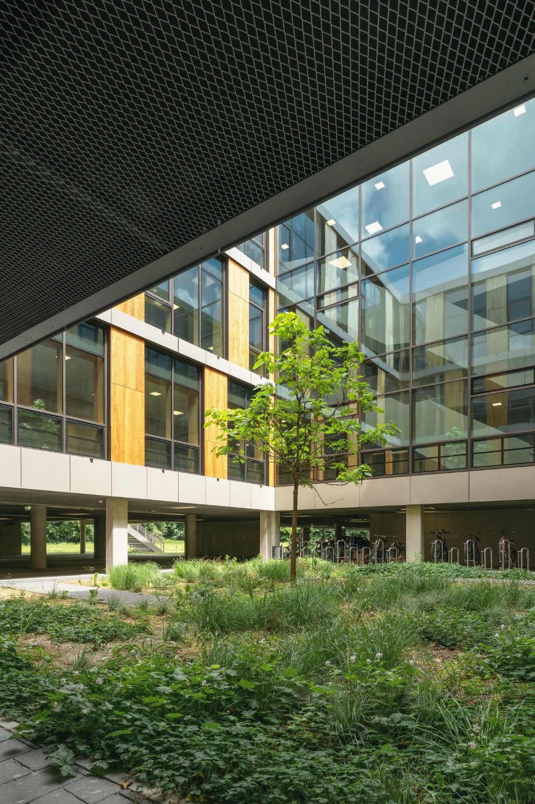 BIM建筑|慕尼黑工业大学可持续化学楼 / Schuster Pechtold Schmidt Architekten BIM建筑|慕尼黑工业大学可持续化学楼 / Schuster Pechtold Schmidt Architekten