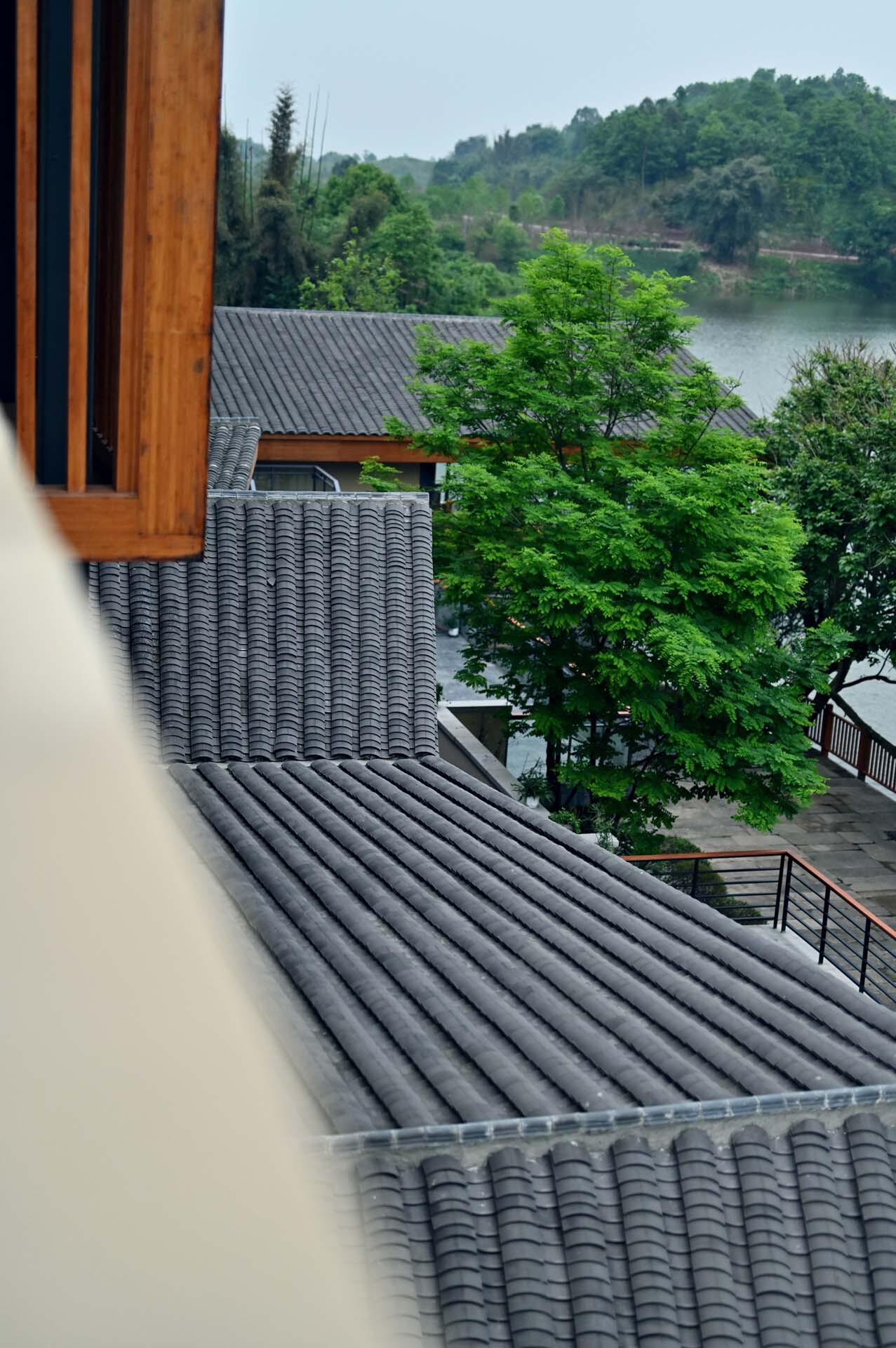 BIM建筑|明月湖沙金小学改造 / 重庆悦集建筑设计事务所 BIM建筑|明月湖沙金小学改造 / 重庆悦集建筑设计事务所