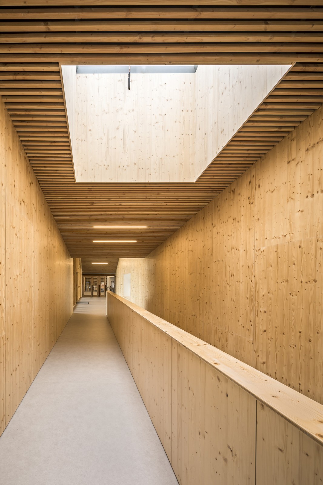 BIM建筑|Les Coteaux Fleuris 学校 / HEMAA Architectes + Hesters Oyon BIM建筑|Les Coteaux Fleuris 学校 / HEMAA Architectes + Hesters Oyon