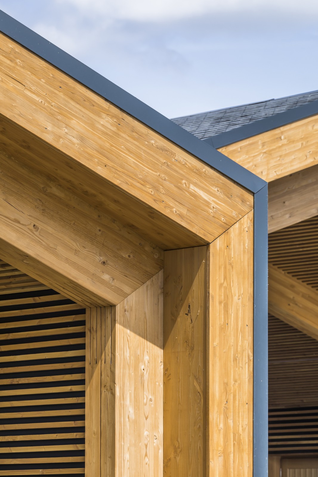 BIM建筑|Les Coteaux Fleuris 学校 / HEMAA Architectes + Hesters Oyon BIM建筑|Les Coteaux Fleuris 学校 / HEMAA Architectes + Hesters Oyon