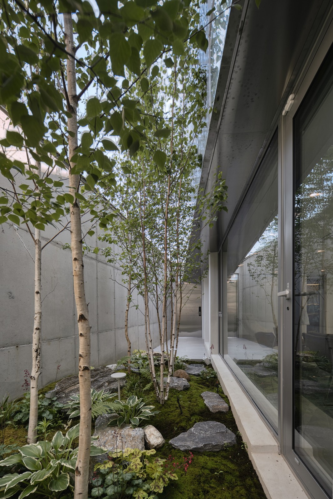 BIM建筑|扭曲营造空间,金属立面住宅 / Archirie BIM建筑|扭曲营造空间,金属立面住宅 / Archirie