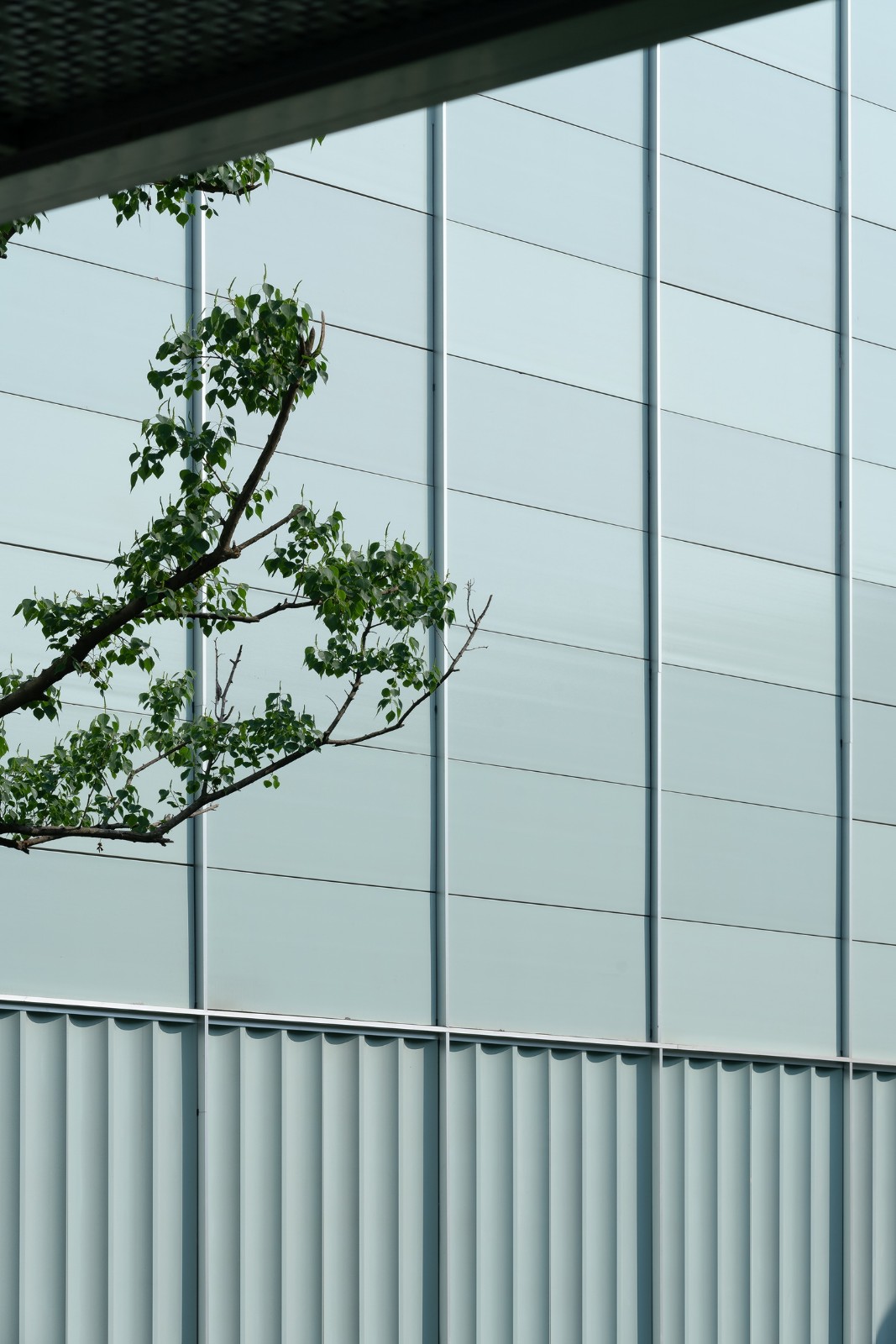 BIM建筑|雅达剧院:山林与舞台 / goa大象设计 BIM建筑|雅达剧院:山林与舞台 / goa大象设计